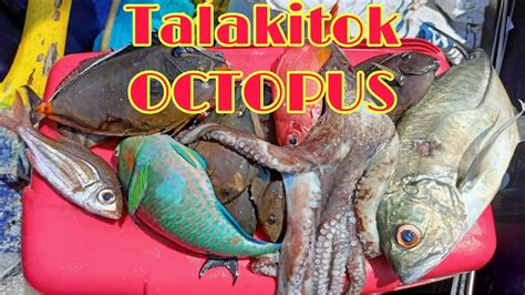 outopus|Iba pa.
